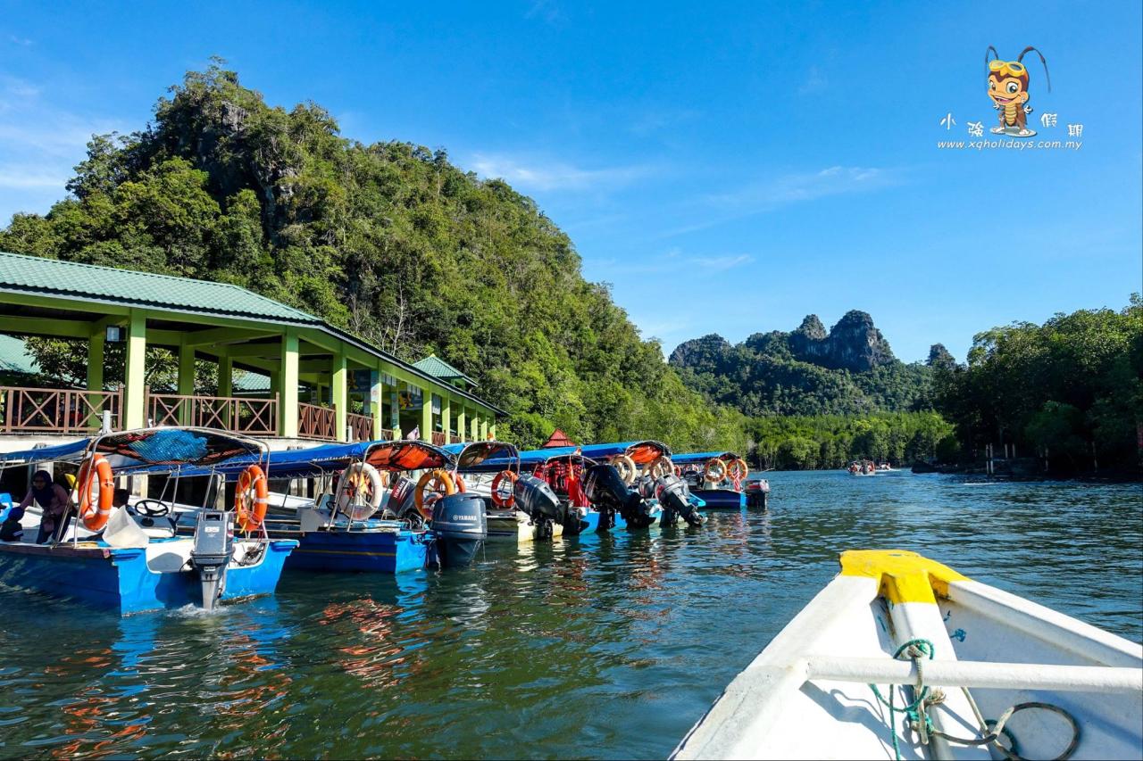 Jelajahi Ekosistem Langkawi yang Memikat dengan Mangrove Tour Langkawi